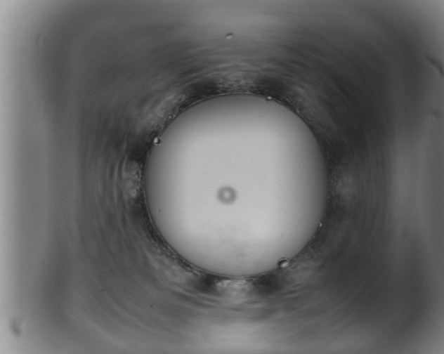 X0000100220133200806061354