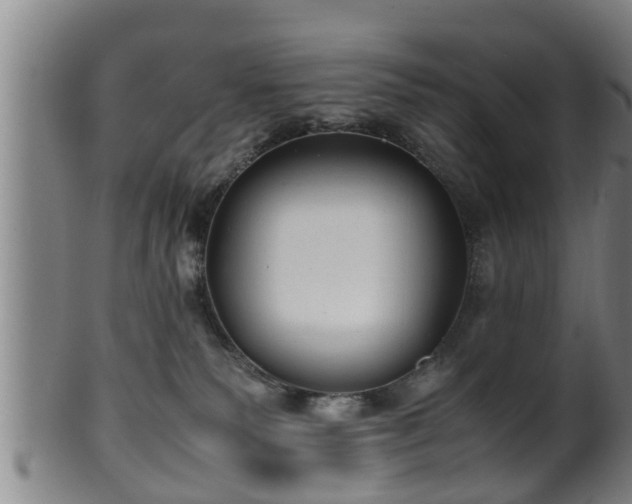 X0000100220135200806061354