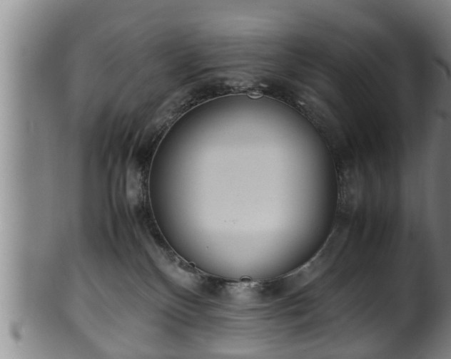 X0000100220136200806061354