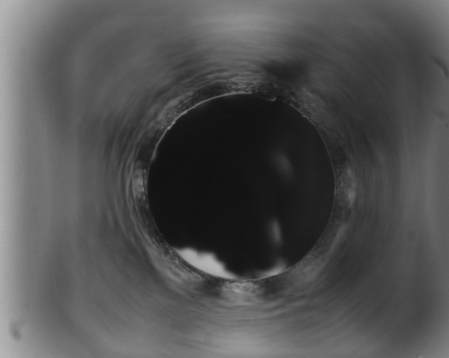 X0000100220137200806061354