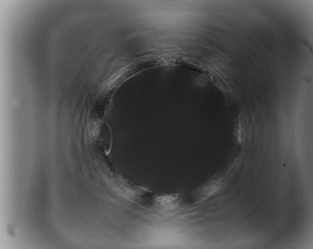 X0000100220139200806061354