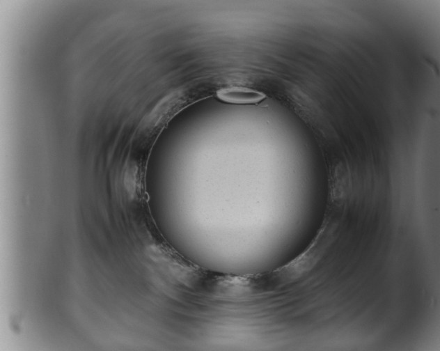 X0000100220140200806061354