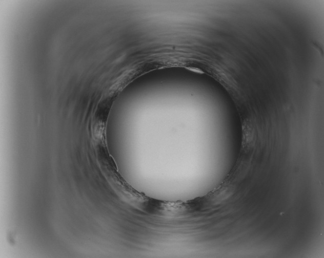 X0000100220141200806061354