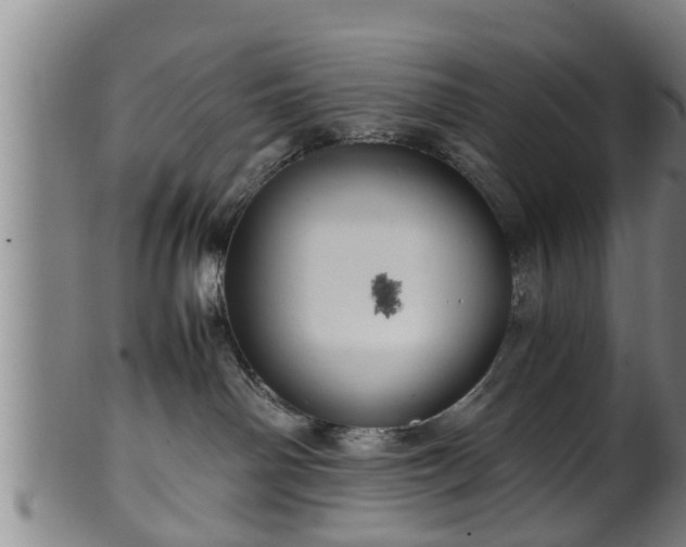 X0000100220142200806061354