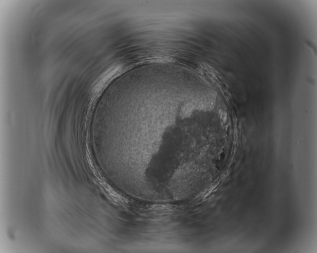 X0000100220145200806061353