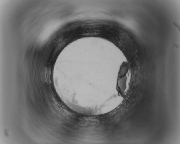 X0000100220146200806061353