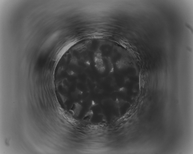 X0000100220147200806061353