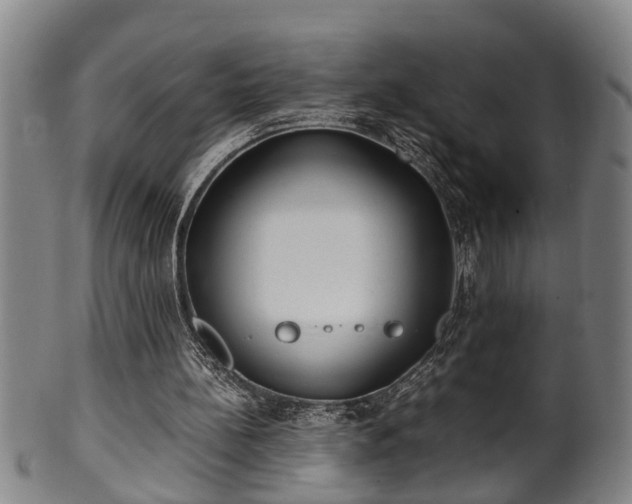 X0000100220148200806061353