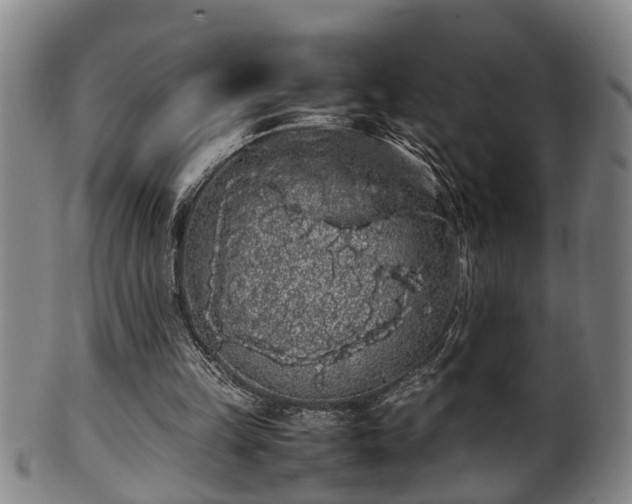 X0000100220149200806061353