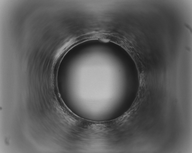 X0000100220150200806061353