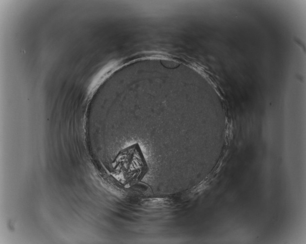 X0000100220151200806061353