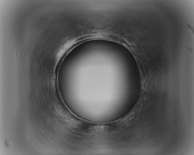 X0000100220152200806061353