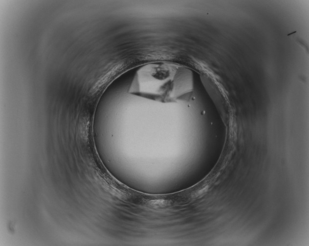X0000100220153200806061353