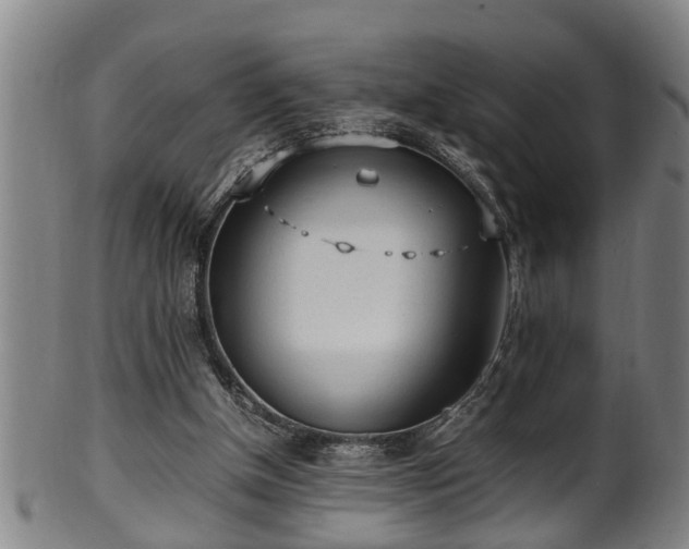 X0000100220154200806061353