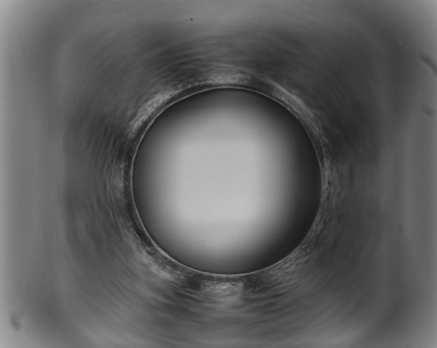 X0000100220155200806061353