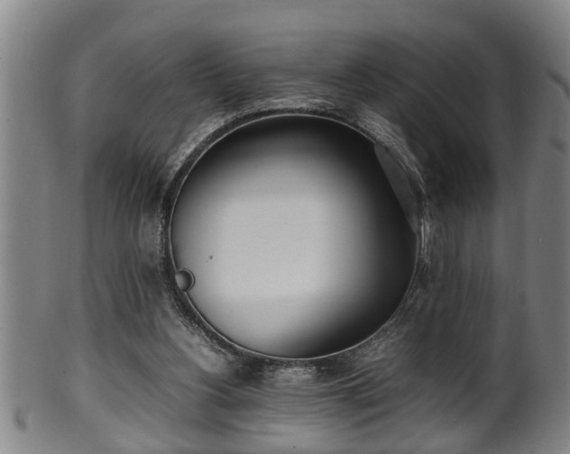 X0000100220156200806061353