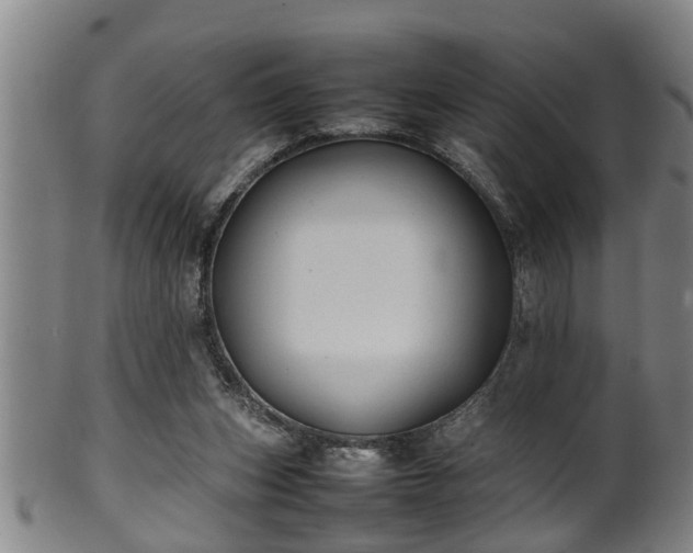 X0000100220159200806061353