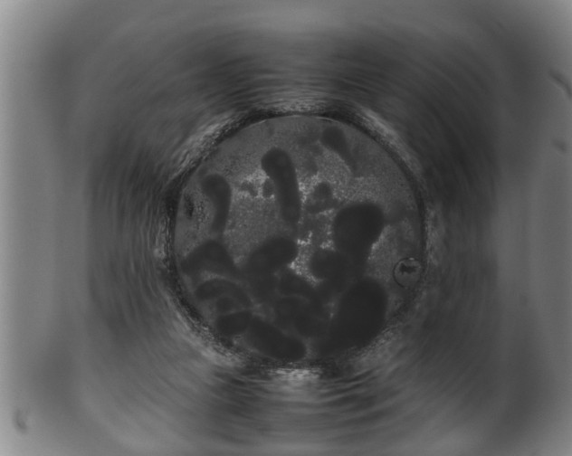 X0000100220161200806061353