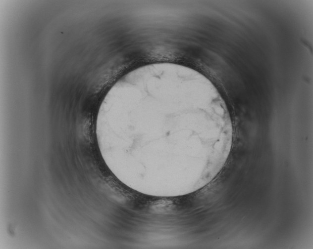 X0000100220162200806061353