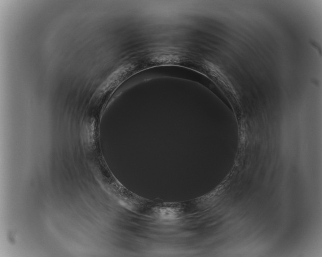 X0000100220163200806061353