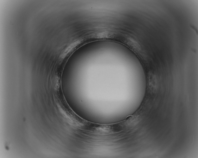 X0000100220164200806061353