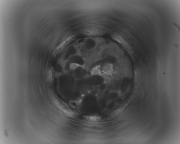 X0000100220165200806061353