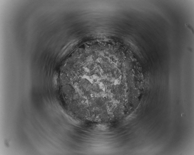 X0000100220166200806061353
