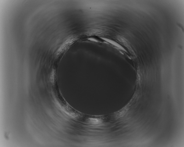 X0000100220167200806061353