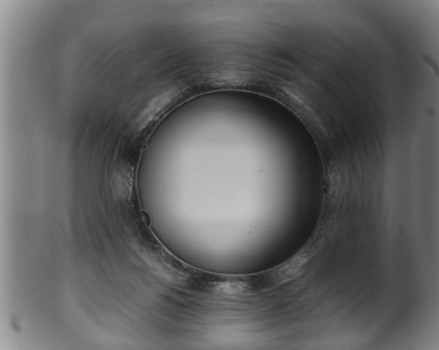 X0000100220168200806061353