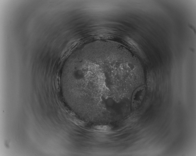 X0000100220169200806061353