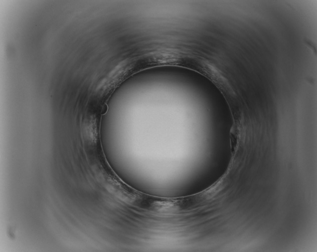 X0000100220170200806061353