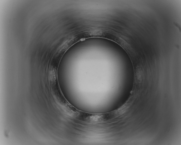 X0000100220172200806061353