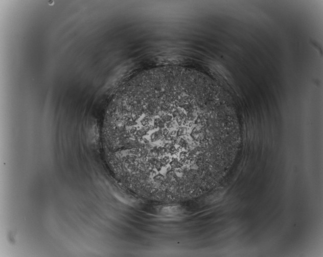 X0000100220173200806061353