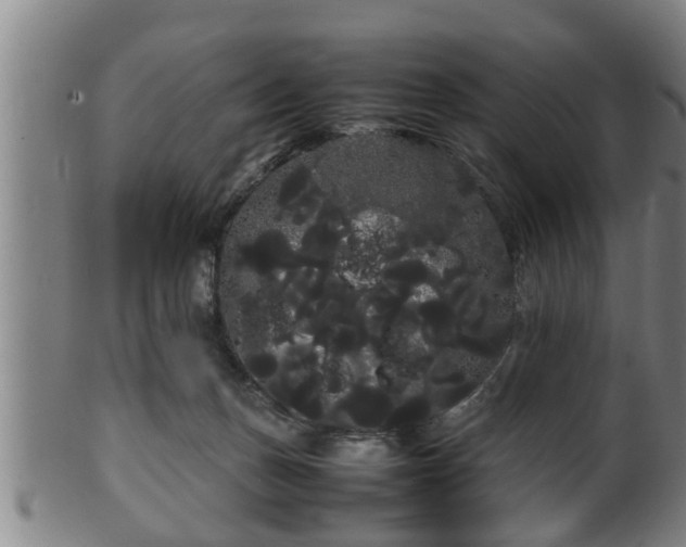 X0000100220175200806061353