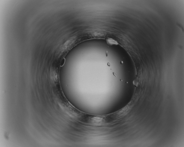 X0000100220176200806061353