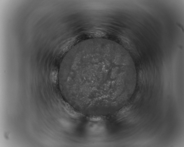 X0000100220177200806061353