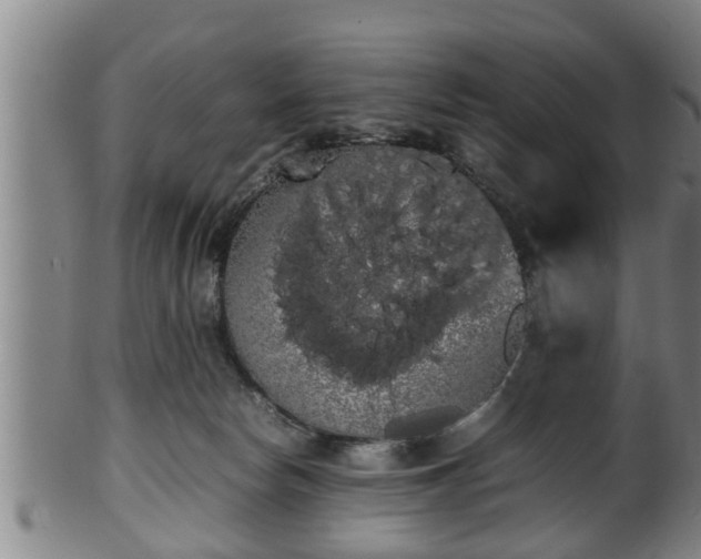 X0000100220178200806061353