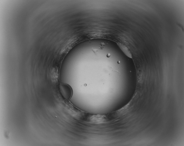 X0000100220179200806061353