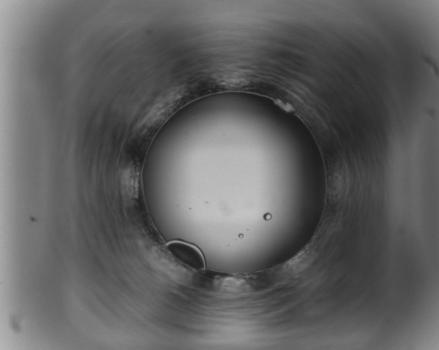 X0000100220180200806061353