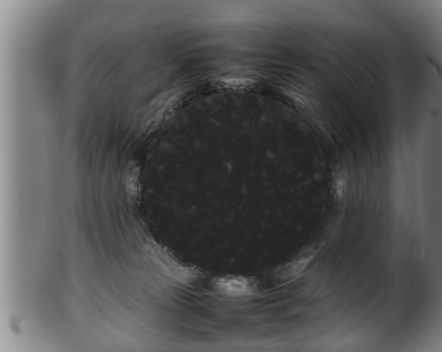 X0000100220181200806061353