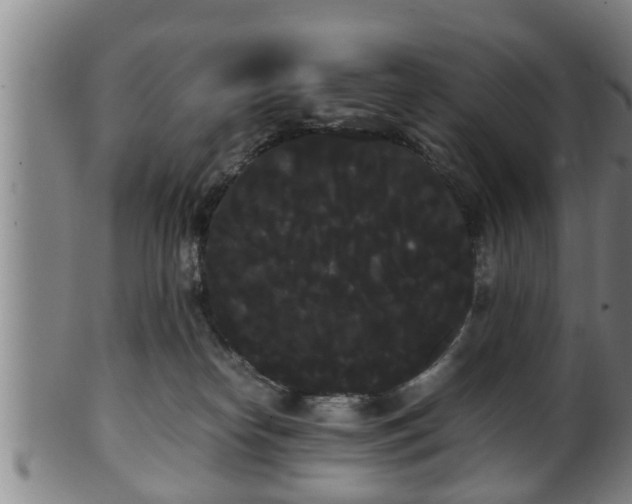 X0000100220182200806061353