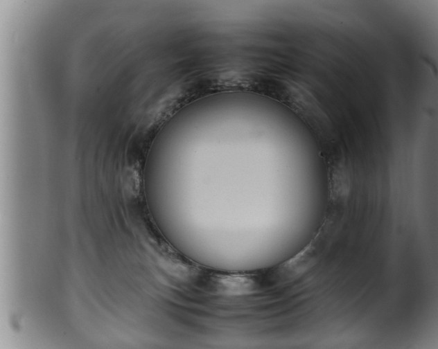 X0000100220183200806061353