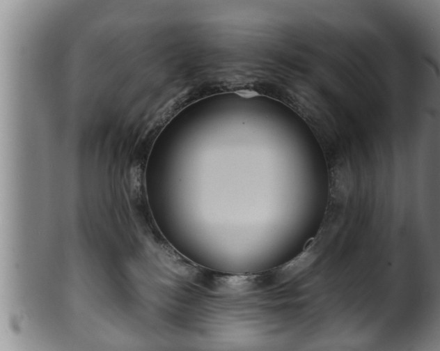 X0000100220184200806061353