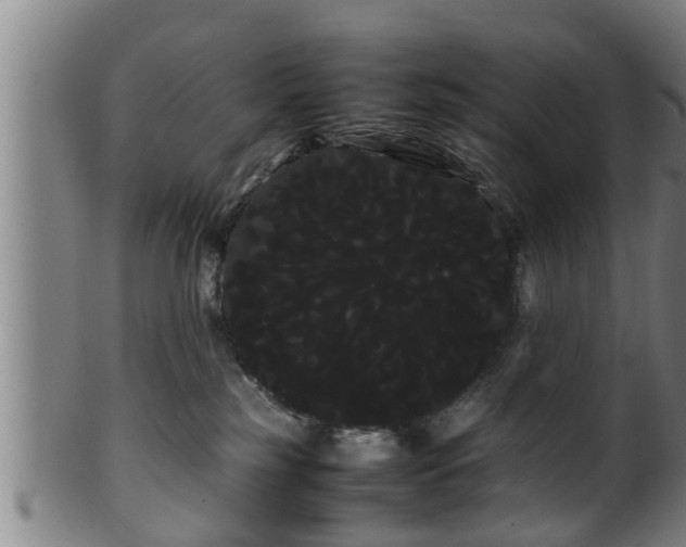 X0000100220185200806061353