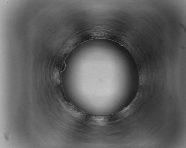 X0000100220187200806061353