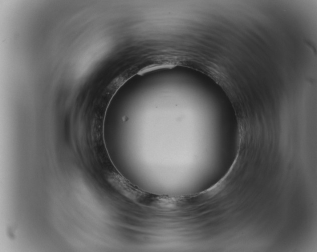 X0000100220190200806061354