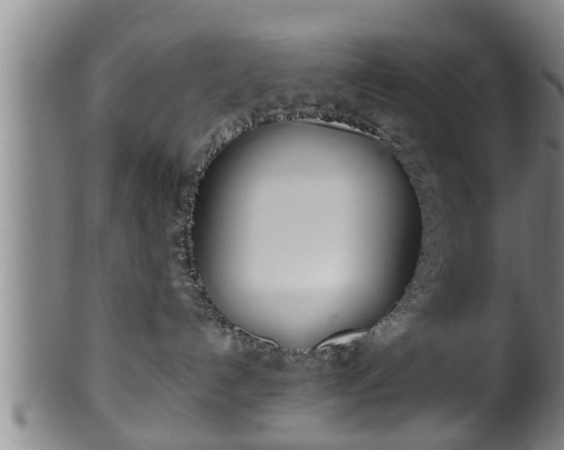 X0000100220192200806061354