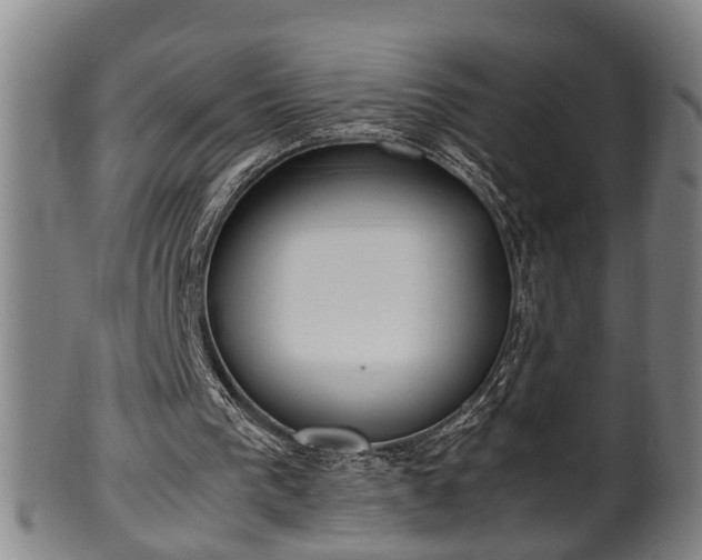 X0000100220193200806061353