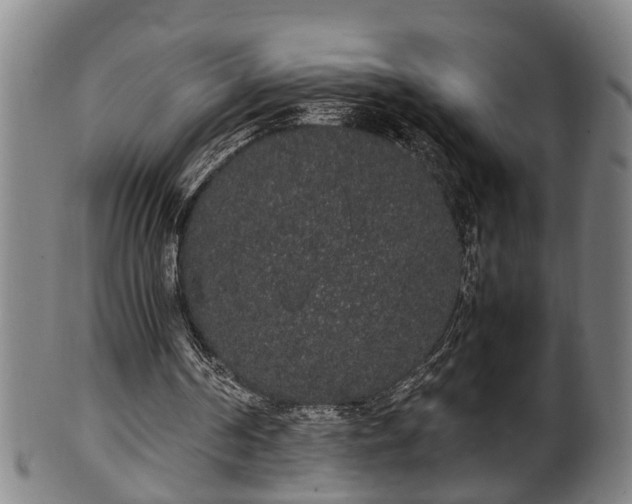 X0000100220194200806061353