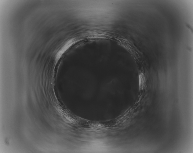 X0000100220195200806061353